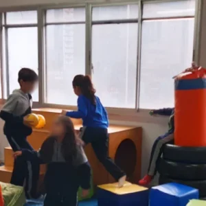 Curso COA Actualizaciones de Corporalidad Movimiento y Psicomotricidad