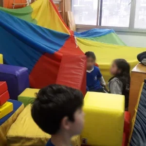 Curso Online Introducción a la Psicomotricidad en Educación